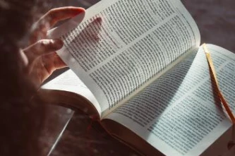 全国废不锈钢价格最新行情？